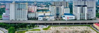 Management & Science University (MSU) Banner