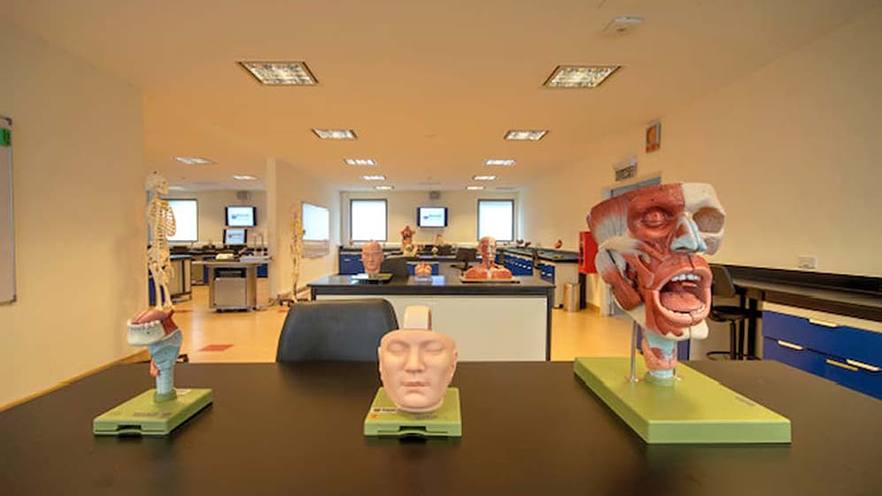 Anatomy lab